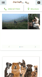 Mobile Screenshot of doglogicmontana.com